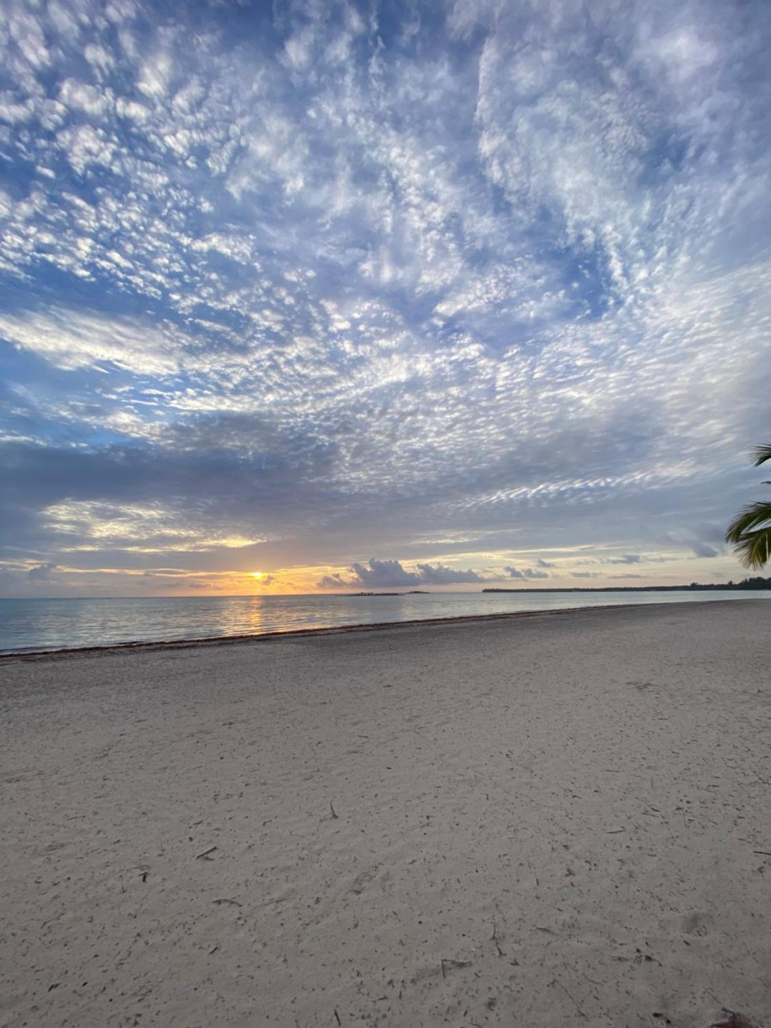 Madonna Pool Beach Los Corales Punta Cana Bagian luar foto